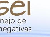 Heisei: taller manejo emociones negativas