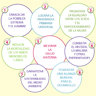 objetivos-milenio-smlm-2014-web