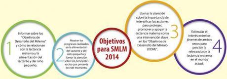 objetivos-smlm-2014