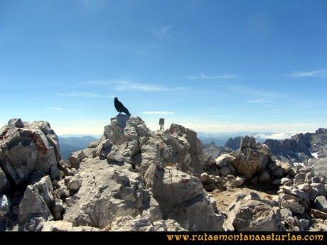 Cima de Peña Vieja