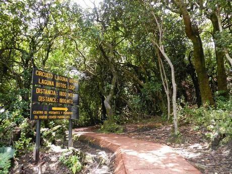 Alajuela y Volcán de Poás: despedida de Costa Rica