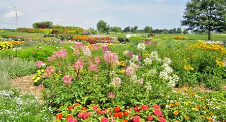 Día de campo en Flamborough, ON, Canadá