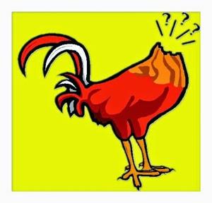 Como pollo sin cabeza