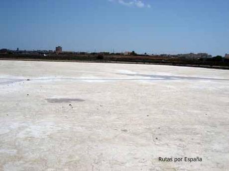 Salinas de La Manga