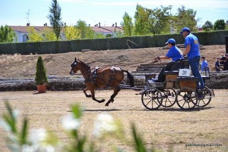 Feria de Mérida 2014
