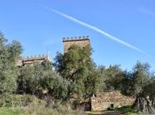 Castillo Beltraneja