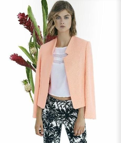 TENDENCIA TROPICAL PRIMAVERA- VERANO 2015 TENDENCIA TROPICAL PRIMAVERA- VERANO 2015