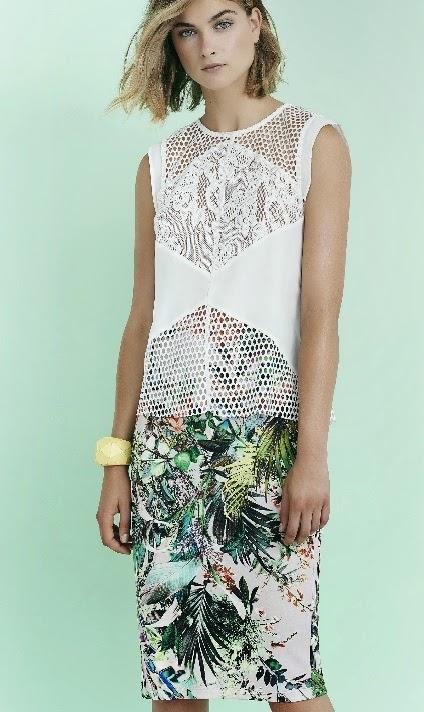 TENDENCIA TROPICAL PRIMAVERA- VERANO 2015 TENDENCIA TROPICAL PRIMAVERA- VERANO 2015