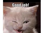 Cómo Promocionar Marca Pinterest: Herramientas Mejores Prácticas