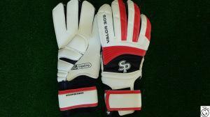 Vista general Valor 309