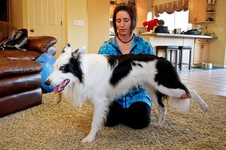 estiramientos de los flexores de la cadera