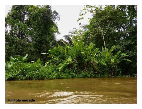 Costa Rica. Parque Nacional de Tortuguero