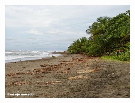 Costa Rica. Parque Nacional de Tortuguero