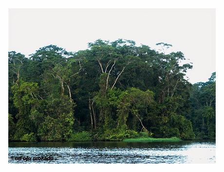 Costa Rica. Parque Nacional de Tortuguero