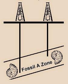 ¿Para qué estudiar Paleontología? Parte 3 (final)