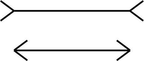 Porteros: aquí tenéis una ilusión sensorial para detener mejor los penaltis La ilusión de Müller-Lyer.