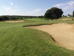 Hoyo 17, green al fondo con enorme encina