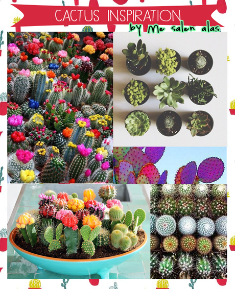 Weekly inspiration: Cactus mon amour