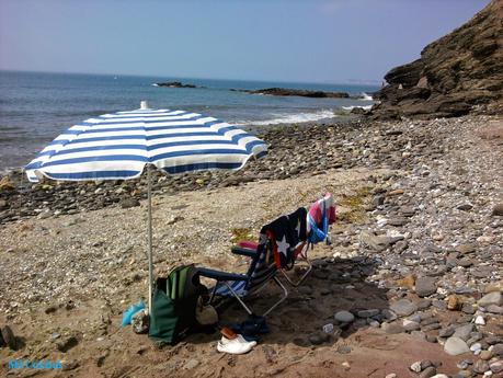 CAZUELA DE PESCADO Y MARISCO