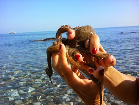 CAZUELA DE PESCADO Y MARISCO