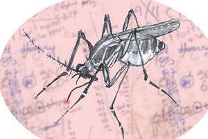 Vinagre para las picaduras de mosquito