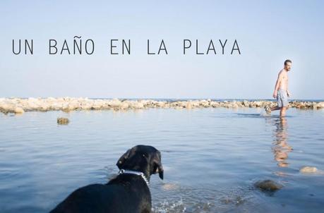 PORTADA PLAYA PERRO