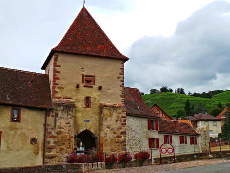 Ruta del vino y de las flores por los pueblos de Alsacia