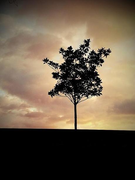 Androidografia Barakaldo 1249