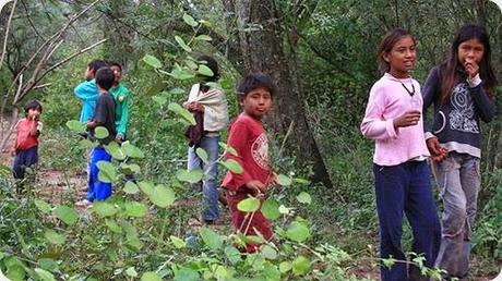 comunidades originarias de Machagai_1