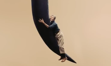 Mesocare comercial japones