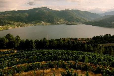 © www.abalargalicia.com