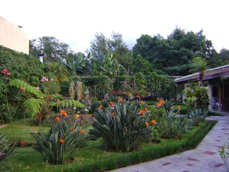 Hotel Soleil Antigua