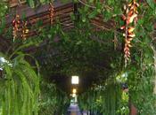 Hotel Soleil Antigua