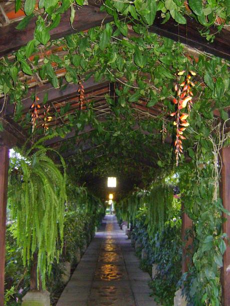 Hotel Soleil Antigua