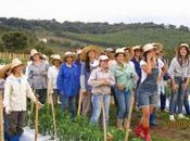 Pueblo brasileño habitado sólo mujeres busca hombres solteros