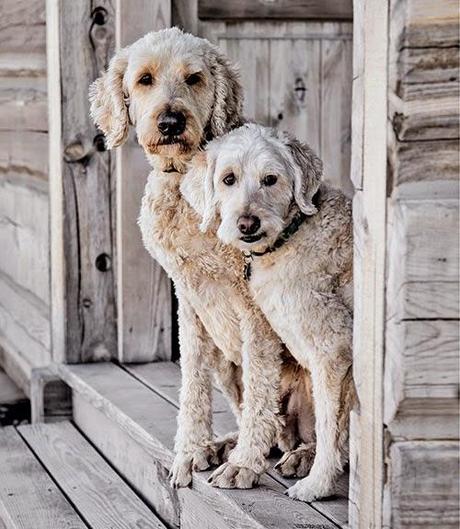 UN PEQUEÑO RANCHO EN IDAHO
