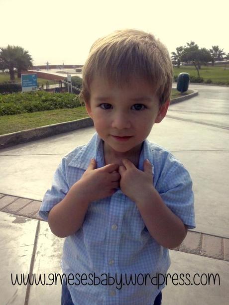 Noah despertar