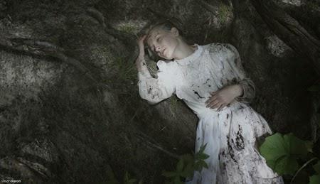 La fotografía de Slevin Aaron
