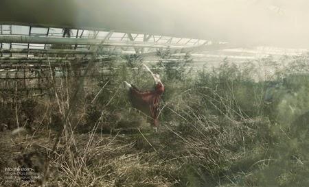 La fotografía de Slevin Aaron