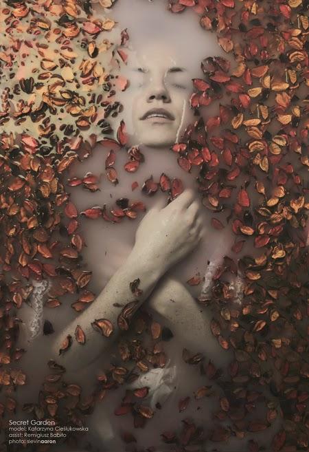 La fotografía de Slevin Aaron