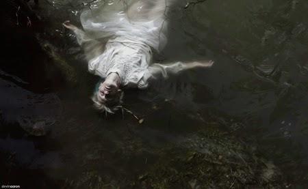 La fotografía de Slevin Aaron