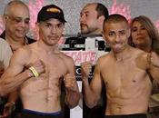 Juan Francisco Estrada Giovani Segura Vivo, Boxeo Online