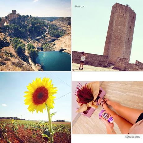 notes of the week barbara crespo tumblr social media instagram youtube instavideo facebook twitter