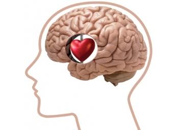 Neuromanagement: Nuestros Tres Cerebros, por Estanislao Blachrach