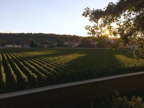 Le Clos du Mesnil de Krug à Le-Mesnil-sur-Oger