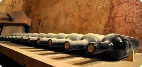 ruta del vino rio negro2