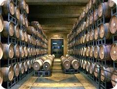 ruta-del-vino-en-neuquen