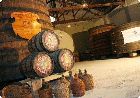 ruta del vino rio negro