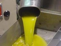 aceite de oliva en origen
