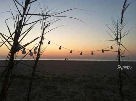 Nos vamos de picnic!